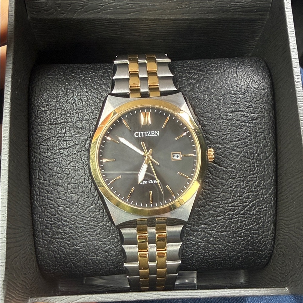 Citizen Eco-Drive Gold and Silver Watch